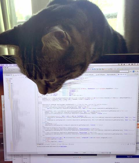 My cat, Dexter Fishpaw, dutifully watches me code.